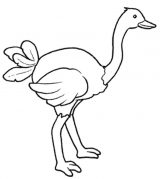 Dibujos de avestruz para colorear (2/77)