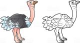 Imágenes de avestruz para pintar (24/77)