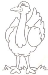 Dibujos de avestruz para colorear (7/32)