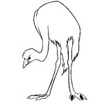 Dibujos de avestruz para colorear (9/32)