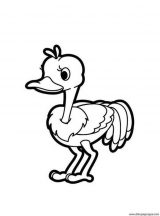 Dibujos de avestruz para colorear (47/77)