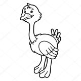 Dibujos de avestruz para colorear (21/32)