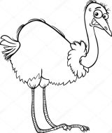 Dibujos de avestruz para colorear (24/32)