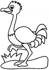 Dibujos de avestruz para colorear (57/77)