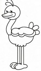 Dibujos de avestruz para colorear (60/77)