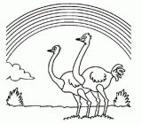Dibujos de avestruz para colorear (30/32)