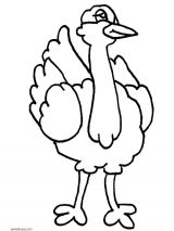 Dibujos de avestruz para colorear (64/77)