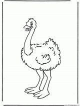 Imágenes de avestruz para pintar (3/13)