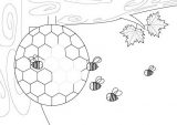 dibujos de abejas para colorear (29/81)