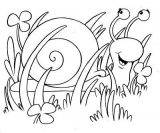 imagenes de caracoles para dibujar (11/92)