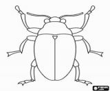 Escarabajos para colorear (13/64)