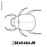 Dibujos de escarabajos para colorear (5/12)