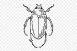 Dibujos para colorear de escarabajos (37/64)