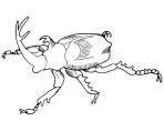 Dibujos de escarabajos para colorear (42/64)