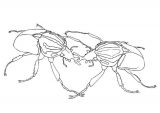 Dibujos para colorear de escarabajos (9/12)