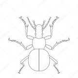 Imágenes para pintar de escarabajos (63/64)