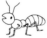 Dibujos de hormigas para colorear (6/16)