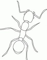 Dibujos de hormigas para colorear (10/16)