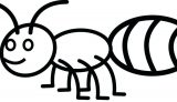 Imágenes de hormigas para dibujar (10/16)