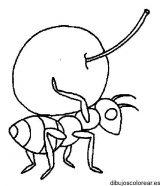 Imágenes de hormigas para dibujar (14/16)