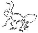 Hormigas para colorear (74/83)