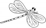 Imágenes de libélulas para dibujar (1/91)