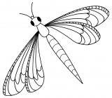 Imágenes de libélulas para dibujar (7/91)