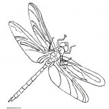 Dibujos de libélulas para colorear (9/91)