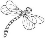 Imágenes de libélulas para dibujar (10/91)
