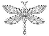 Dibujos de libélulas para colorear (19/91)