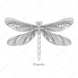 Imágenes de libélulas para dibujar (38/91)
