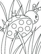 Miraculous Ladybug para colorear (9/75)