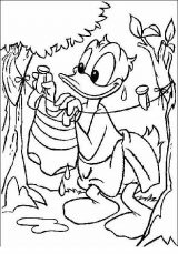 Dibujos para colorear del pato Donald (38/60)