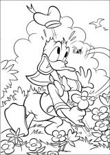 Dibujos para colorear del pato Donald (52/60)