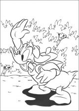 Dibujos para colorear del pato Donald (243/288)